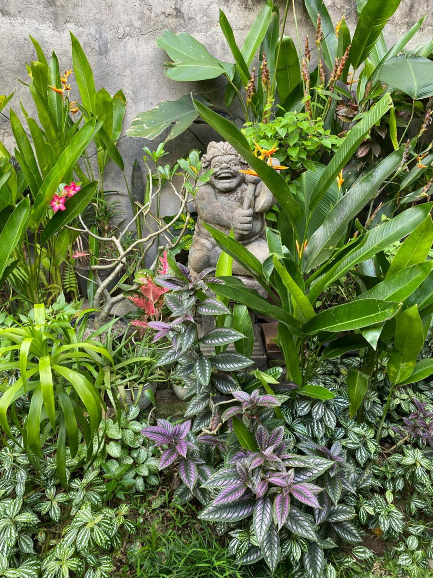 Kope House Ubud エクステリア 写真